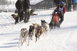 Lenk 2012 SM